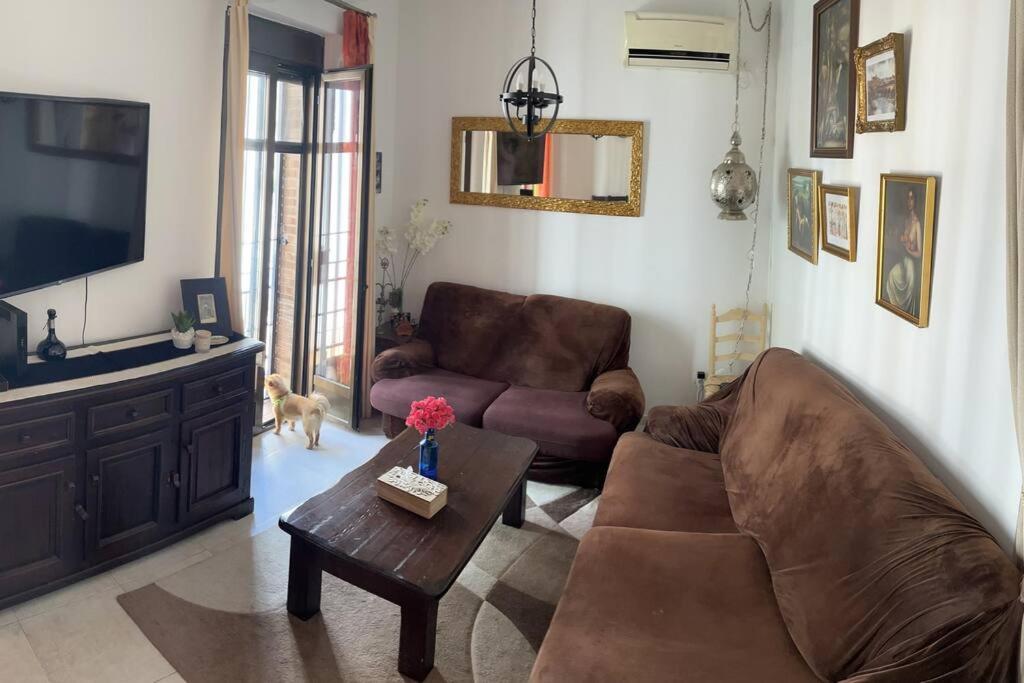 Apartamento Beautiful Charming